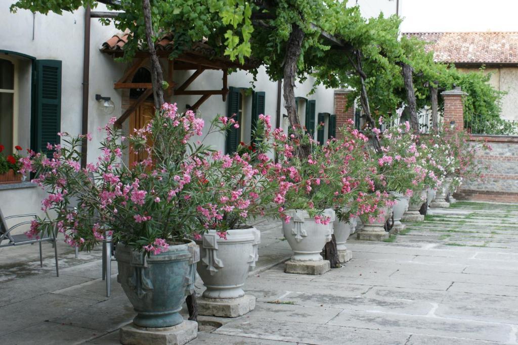 Tenuta Terensano Monleale Bagian luar foto