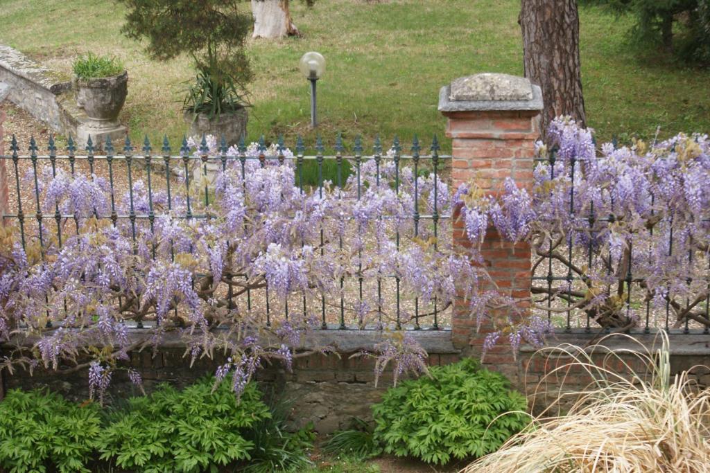 Tenuta Terensano Monleale Bagian luar foto